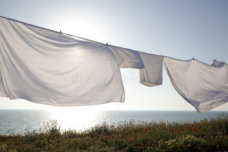 20,291 Clean Sheets Stock Photos - Free & Royalty-Free Stock ...